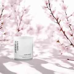 Japanese Cherry Blossoms