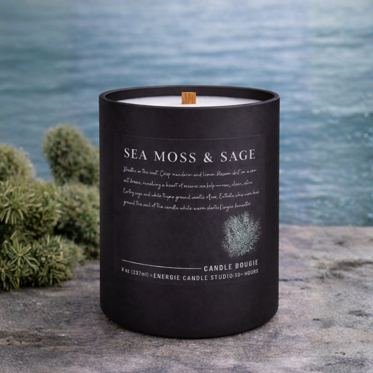 The Spring Collection 2026