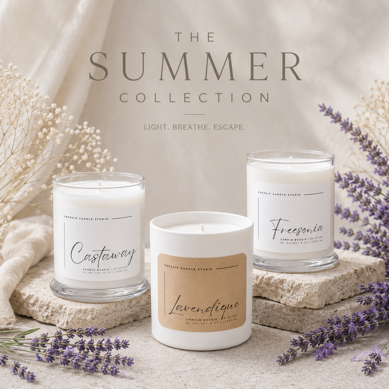 The Summer Collection 2026